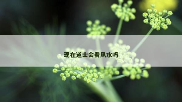 現(xiàn)在道士會看風(fēng)水嗎