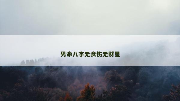 男命八字無(wú)食傷無(wú)財(cái)星