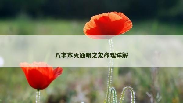 八字木火通明之象命理詳解
