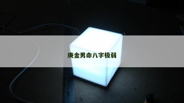 庚金男命八字極弱
