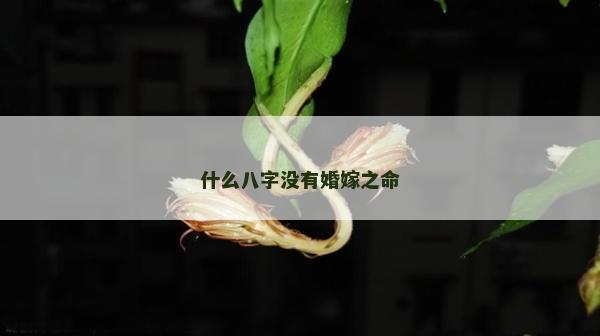 什么八字沒有婚嫁之命