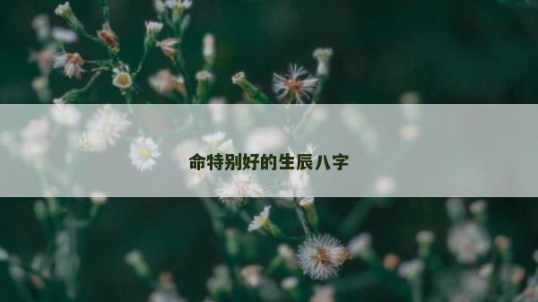 命特別好的生辰八字
