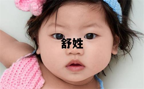 舒姓有靈氣的男孩名字