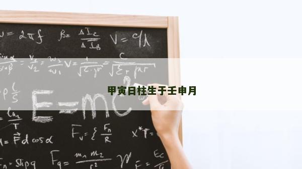 甲寅日柱生于壬申月