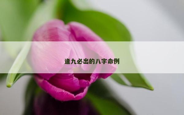 逢九必出的八字命例