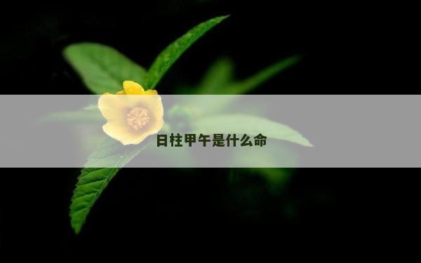 日柱甲午是什么命