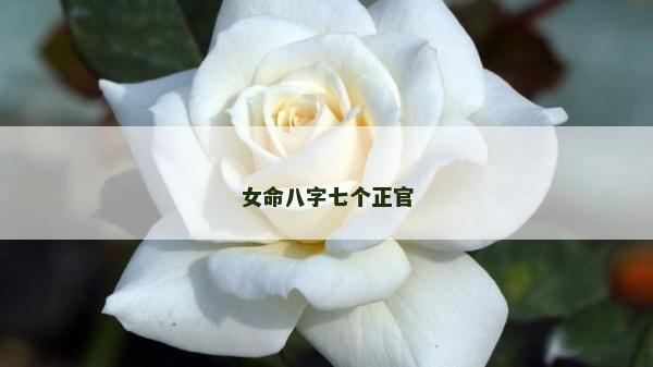 女命八字七個正官 女命八字七個正官