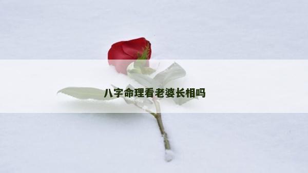 八字命理看老婆長相嗎