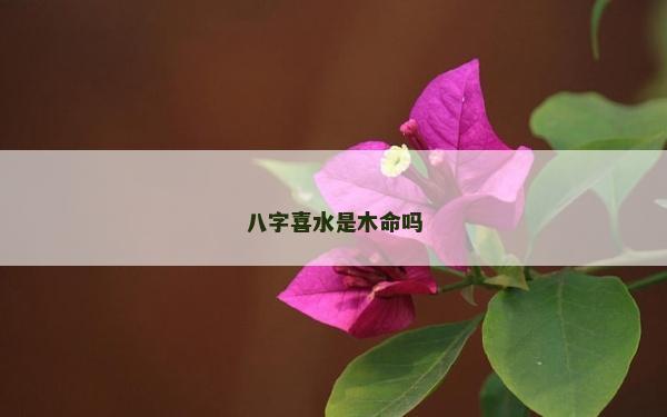 八字喜水是木命嗎