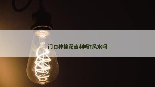 門口種棉花吉利嗎?風水嗎 門口種棉花吉利嗎?風水嗎