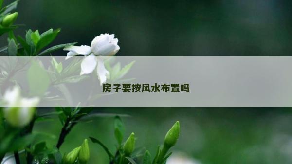 房子要按風水布置嗎