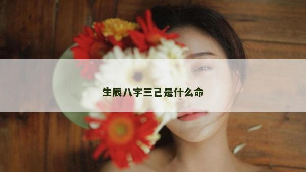 生辰八字三己是什么命