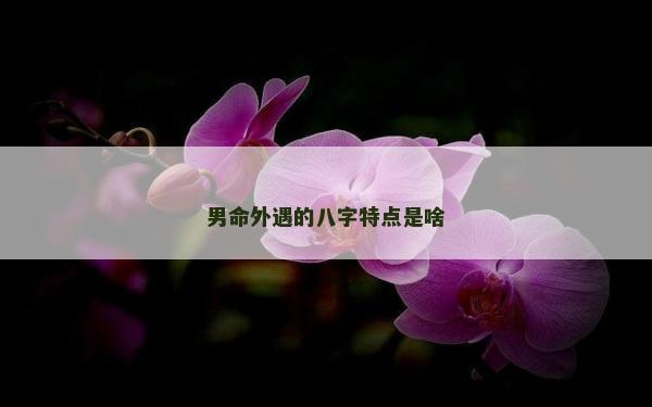 男命外遇的八字特點(diǎn)是啥