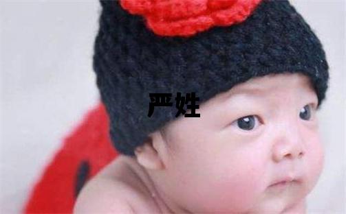 嚴姓取名優美大方的男寶寶名字