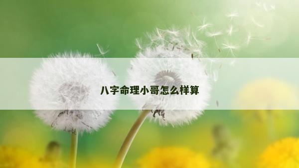 八字命理小哥怎么樣算