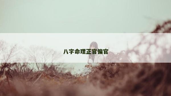 八字命理正官偏官 八字命理正官偏官
