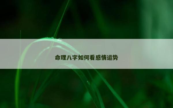 命理八字如何看感情運勢