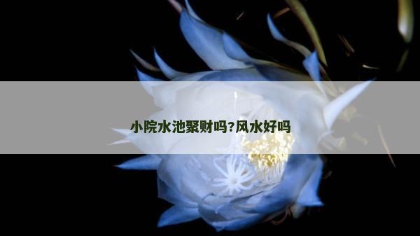 小院水池聚財嗎?風水好嗎