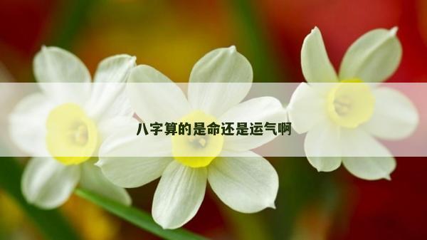 八字算的是命還是運(yùn)氣啊