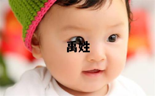 禹姓取名有詩意的男寶寶名字
