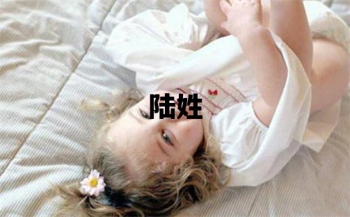 陸姓洋氣的女孩名字,取什么名字好