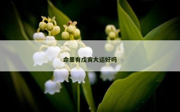 命里有戊寅大運好嗎 命里有戊寅大運好嗎