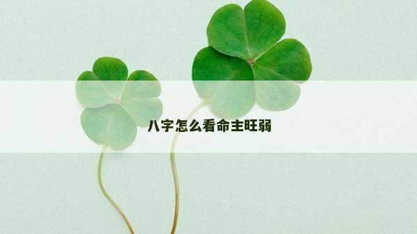 八字怎么看命主旺弱