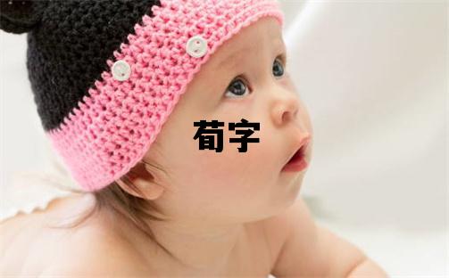 荀字五行屬什么 荀字取名寓意男孩