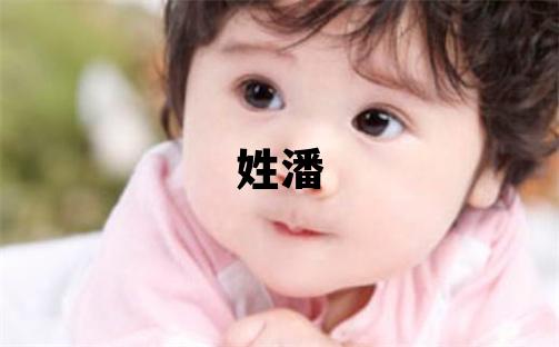 姓潘叫什么名字好 姓潘的男孩優(yōu)美大方的名字