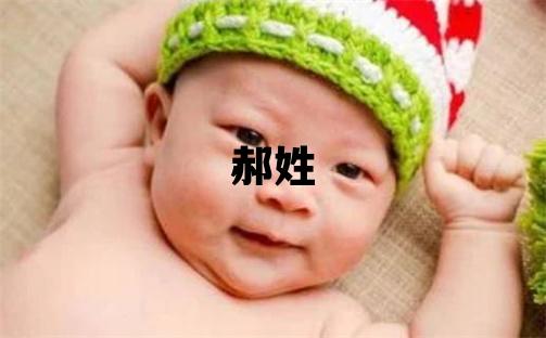 郝姓大氣文雅的男孩名字,取什么名字好