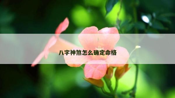 八字神煞怎么確定命格