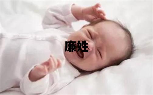 廉姓有創意的男孩名字