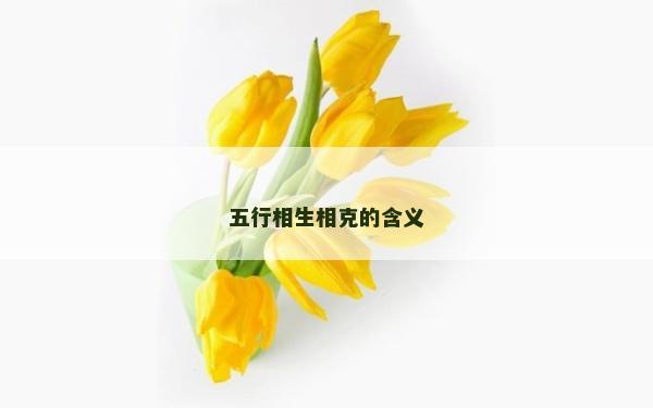 五行相生相克的含義