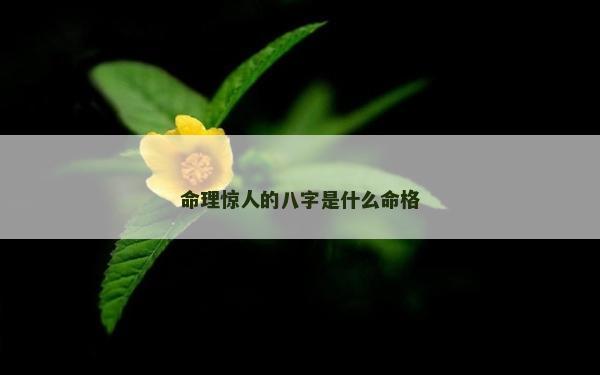 命理驚人的八字是什么命格