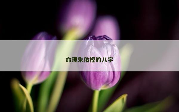 命理朱佑樘的八字