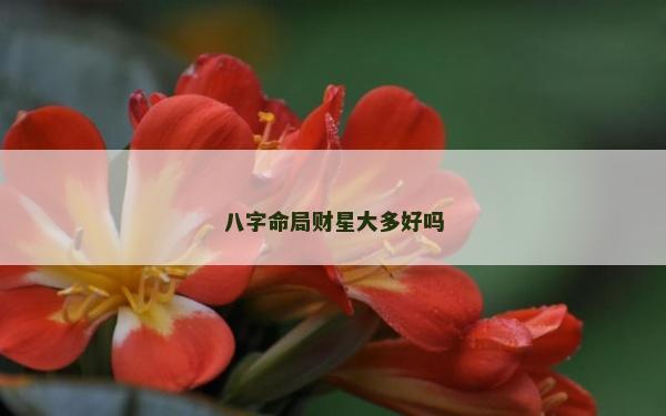 八字命局財星大多好嗎
