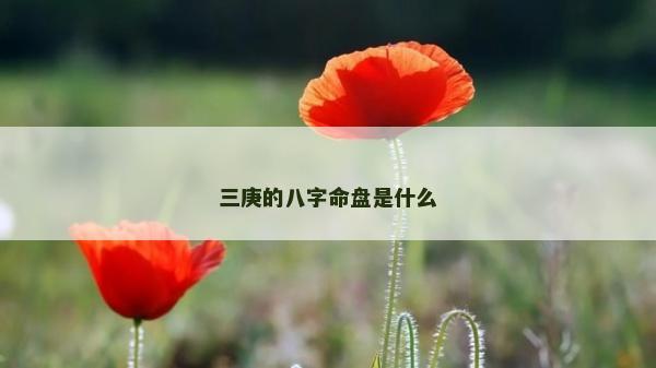 三庚的八字命盤是什么