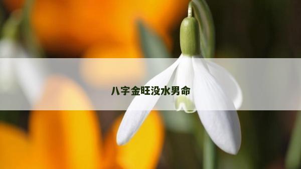 八字金旺沒(méi)水男命