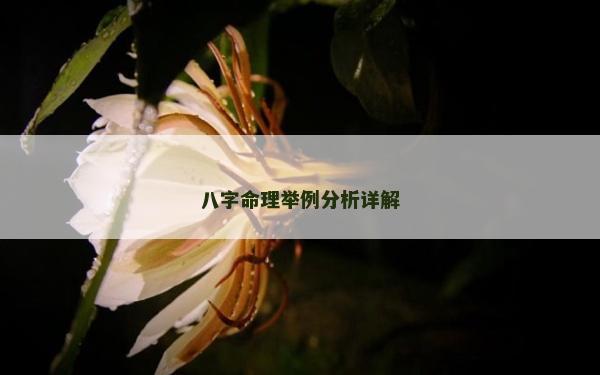 八字命理舉例分析詳解 八字命理舉例分析詳解