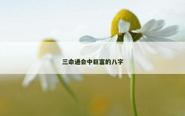 三命通會中巨富的八字 三命通會中巨富的八字