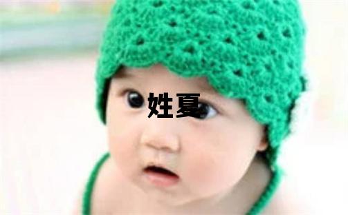 姓夏叫什么名字好 姓夏的男孩朗朗上口的名字