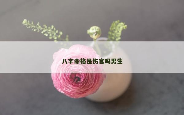 八字命格是傷官嗎男生
