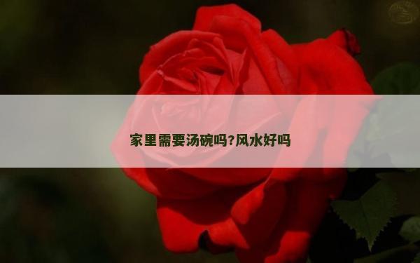 家里需要湯碗嗎?風(fēng)水好嗎