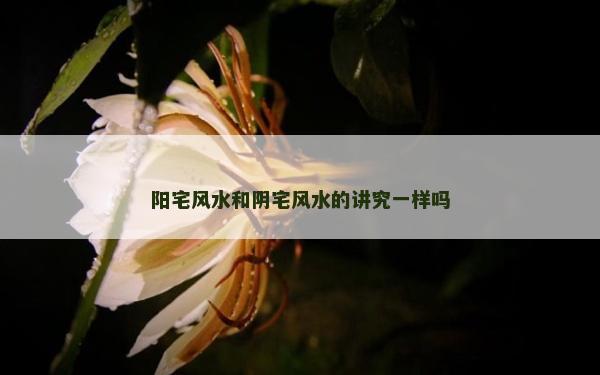 陽宅風水和陰宅風水的講究一樣嗎 陽宅風水和陰宅風水的講究一樣嗎