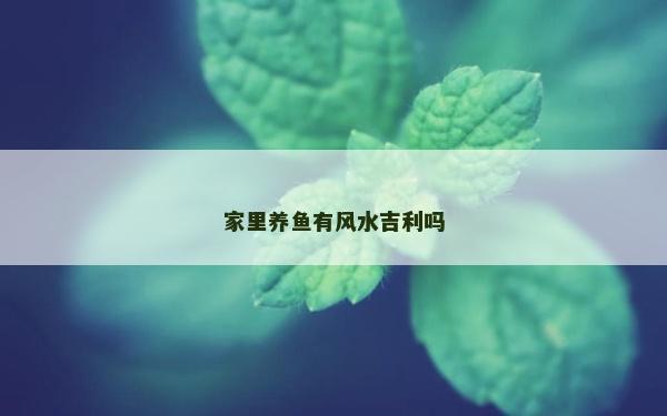 家里養魚有風水吉利嗎