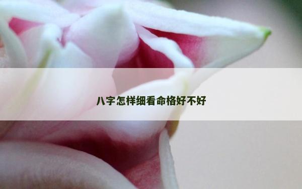 八字怎樣細(xì)看命格好不好