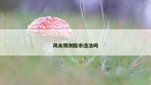 風(fēng)水預(yù)測股市違法嗎 風(fēng)水預(yù)測股市違法嗎