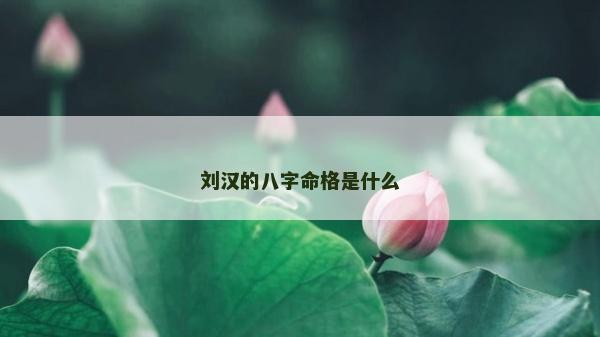 劉漢的八字命格是什么