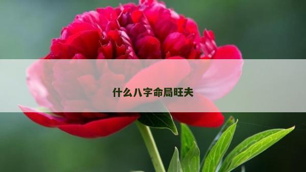 什么八字命局旺夫