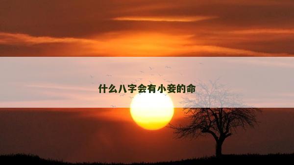 什么八字會有小妾的命